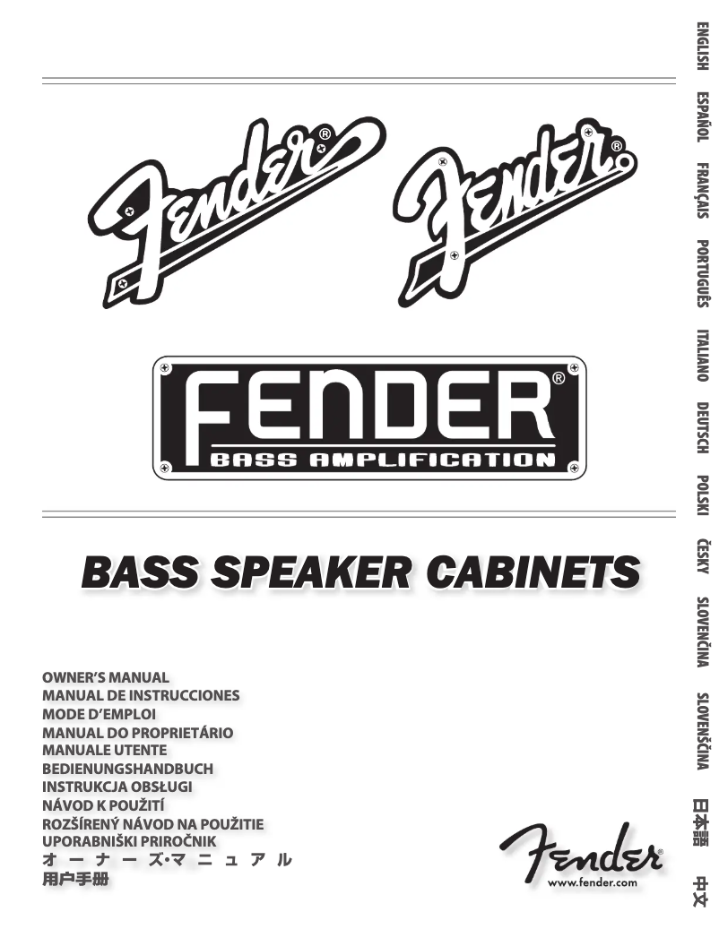 Page 1 de la notice Manuel utilisateur Fender Rumble 210