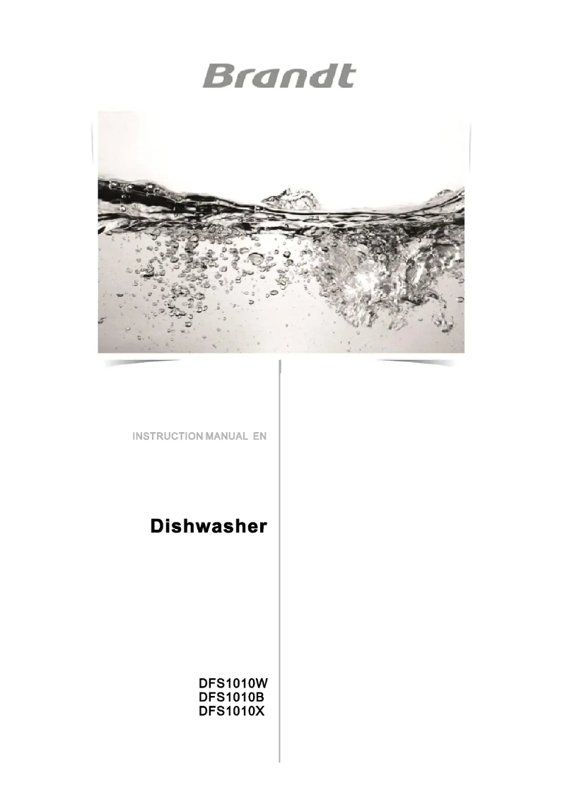 Image de la première page du manuel de l'appareil DFS1010W