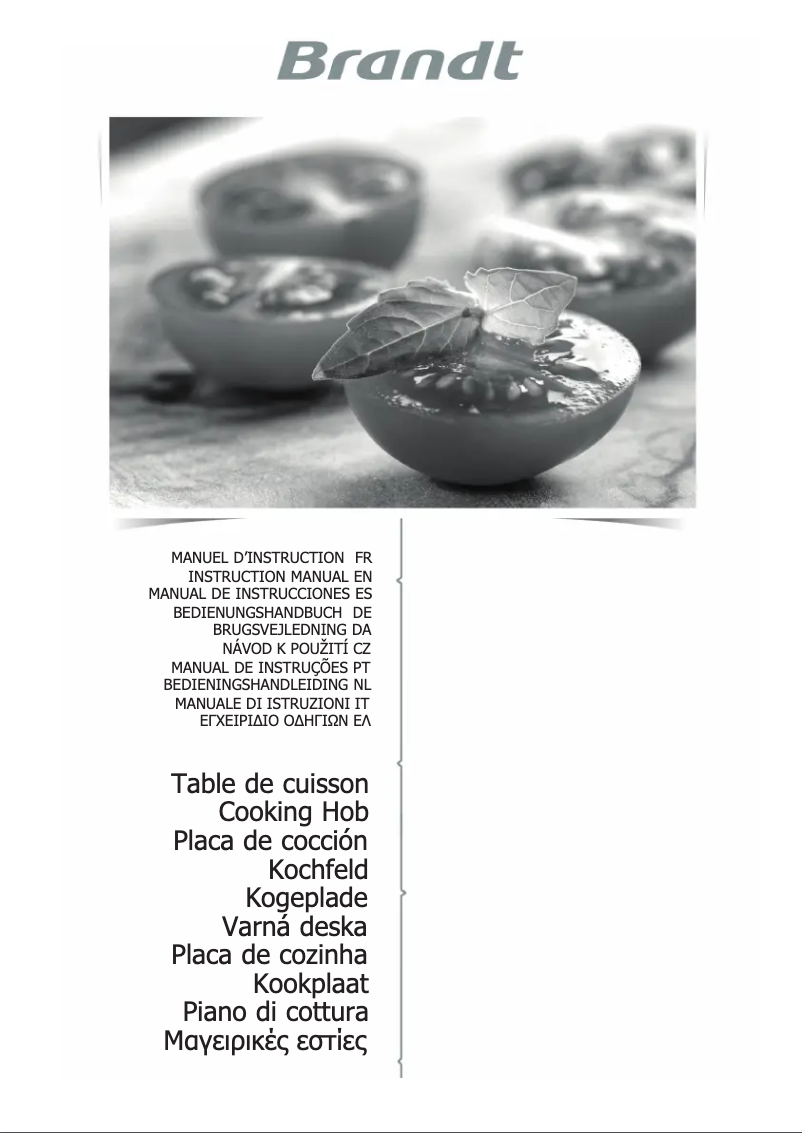 Page 1 de la notice Manuel utilisateur Brandt BPI6328UB