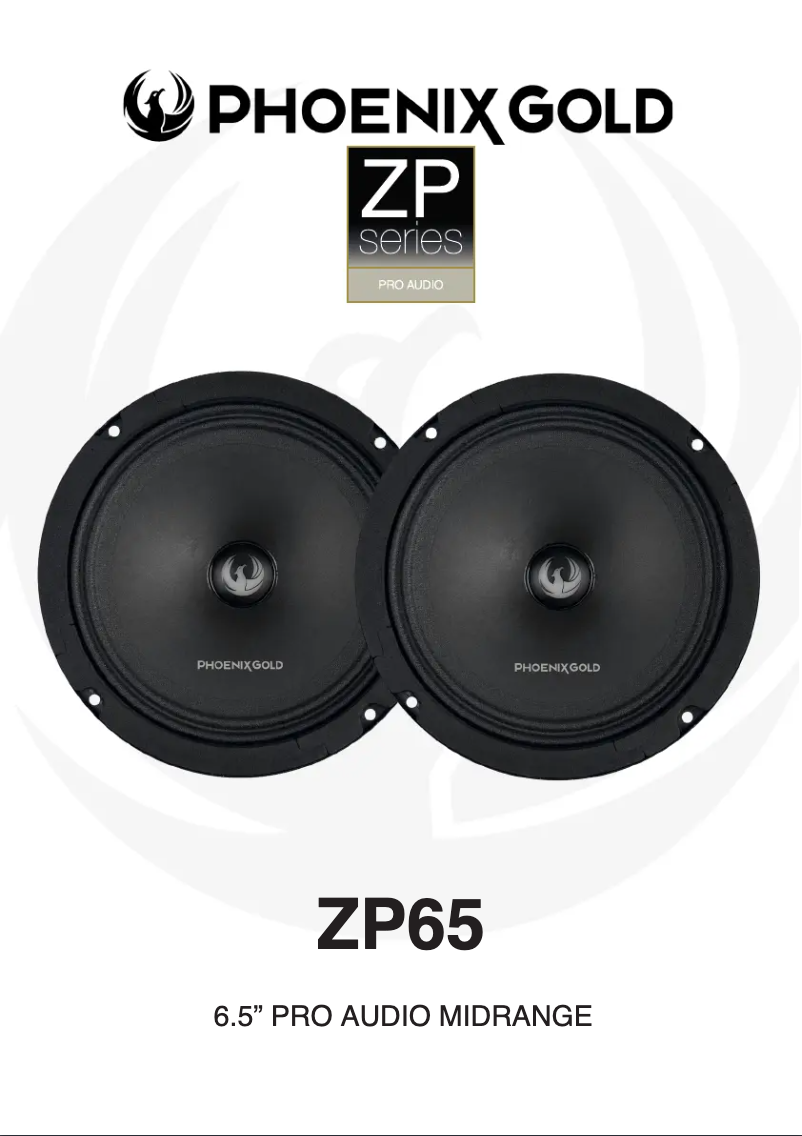 Página 1 del manual Manual de usuario Phoenix Gold ZP65