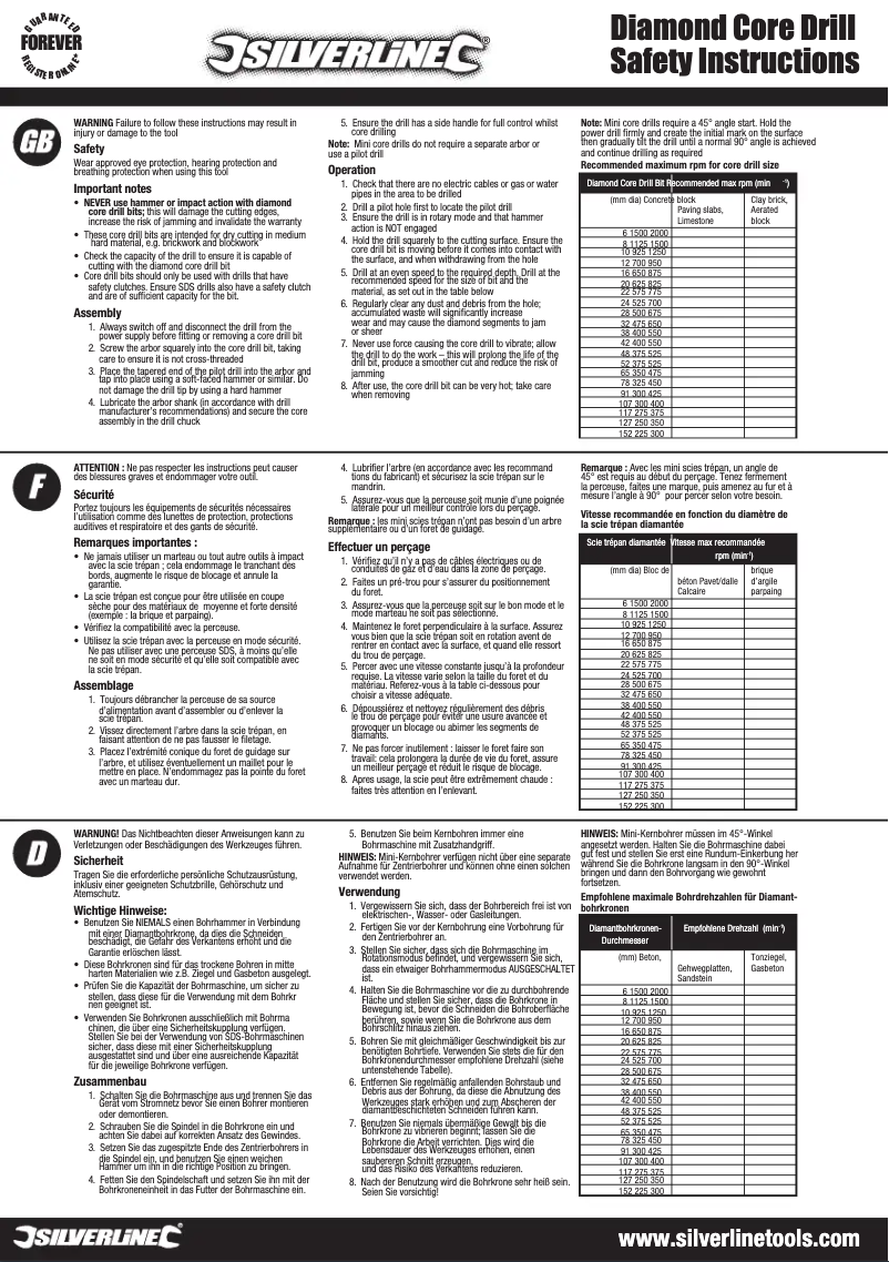 Page 1 de la notice Manuel utilisateur Silverline 300338