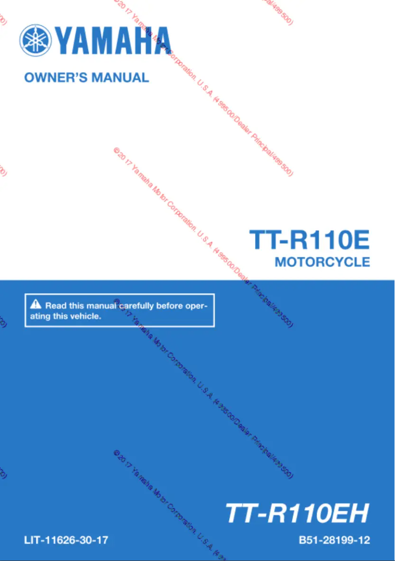 Image de la première page du manuel de l'appareil TT-R110E (2017)