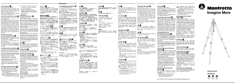 Page 1 de la notice Manuel utilisateur Manfrotto MK290DUA3-BH