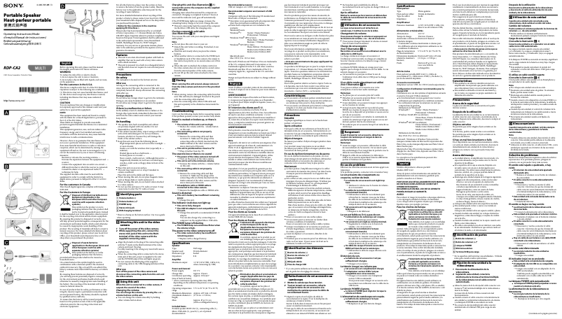 Imagen de la primera página del manual del dispositivo RDP-CA2