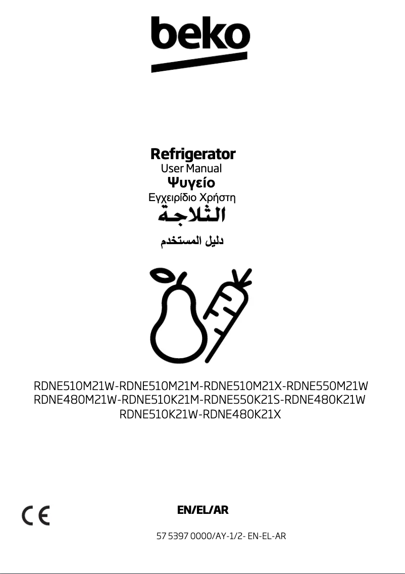 Image de la première page du manuel de l'appareil RDNE550M21W