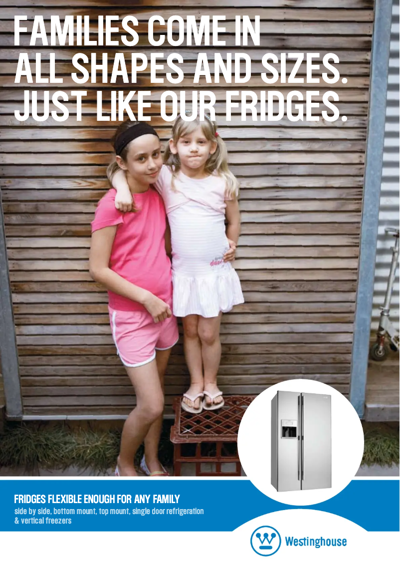 Page 1 de la notice Fiche technique Westinghouse WTM5204SB