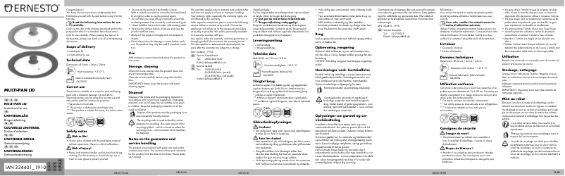 Page n°1 - Manuel utilisateur Ernesto IAN 334401