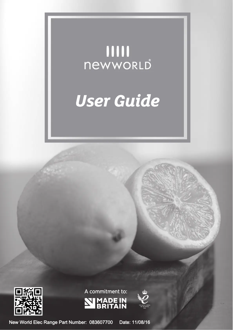 Page 1 de la notice Manuel utilisateur New World Vision 100E