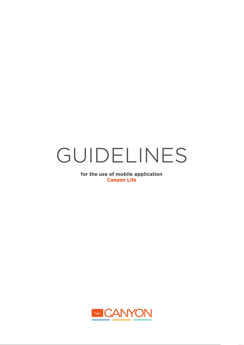 Page 1 de la notice Manuel utilisateur Canyon SW-61