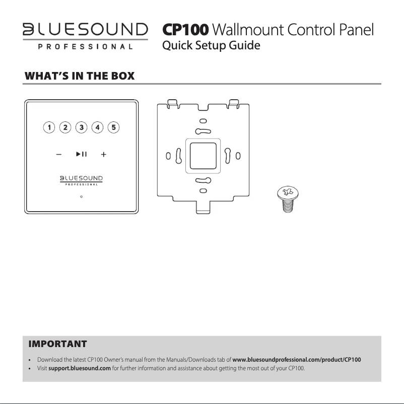 Página 1 del manual Manual de usuario Bluesound CP100