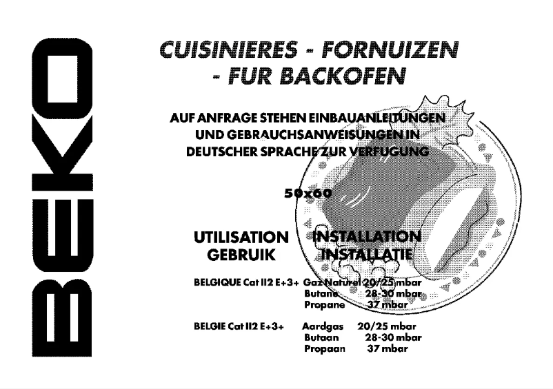 Page 1 de la notice Manuel utilisateur Beko Cs 51001