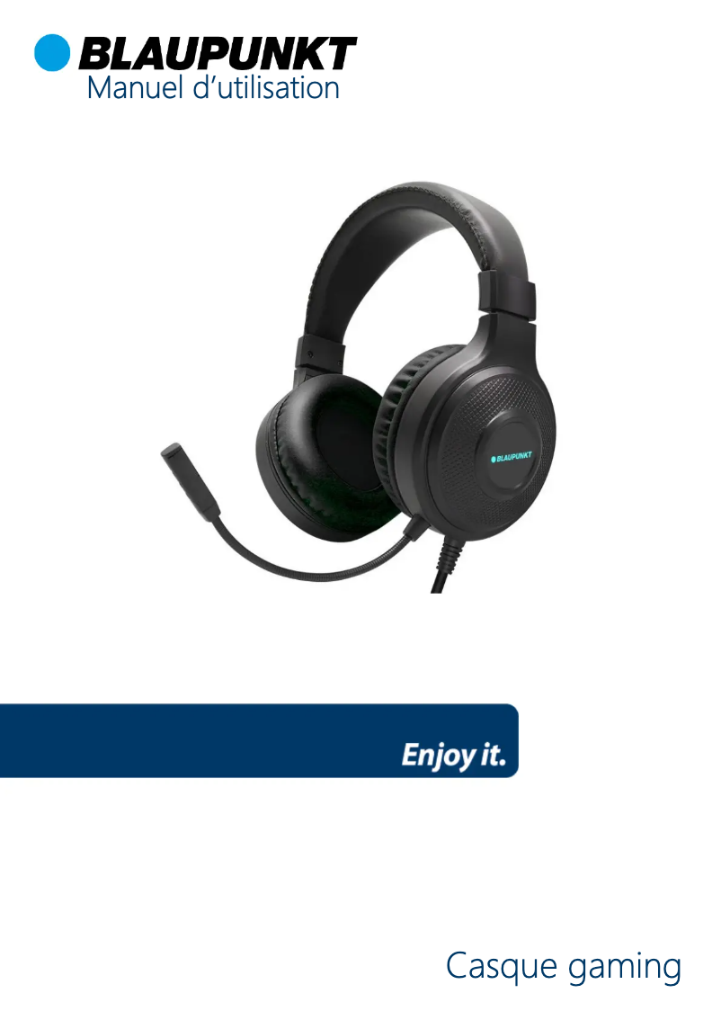Page 1 de la notice Manuel utilisateur Blaupunkt BLP069