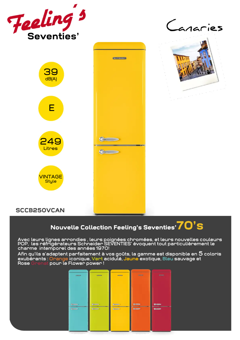 Page 1 de la notice Fiche technique Schneider SCCB250VCAN