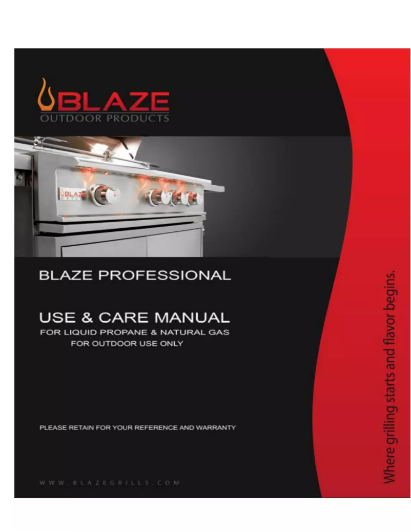 Page 1 de la notice Manuel utilisateur Blaze Professional BLZ-4PRO-NG