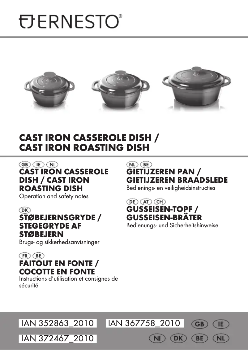 Page n°1 - Manuel utilisateur Ernesto IAN 352863