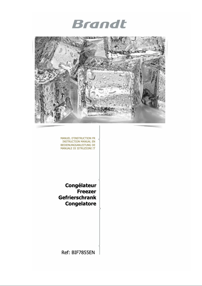 Image de la première page du manuel de l'appareil BIF7855EN