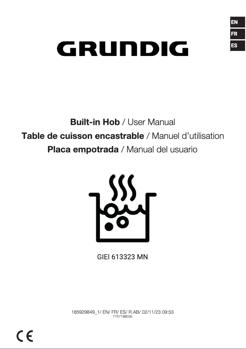 Page 1 de la notice Manuel utilisateur Grundig GIEI 613323 MN