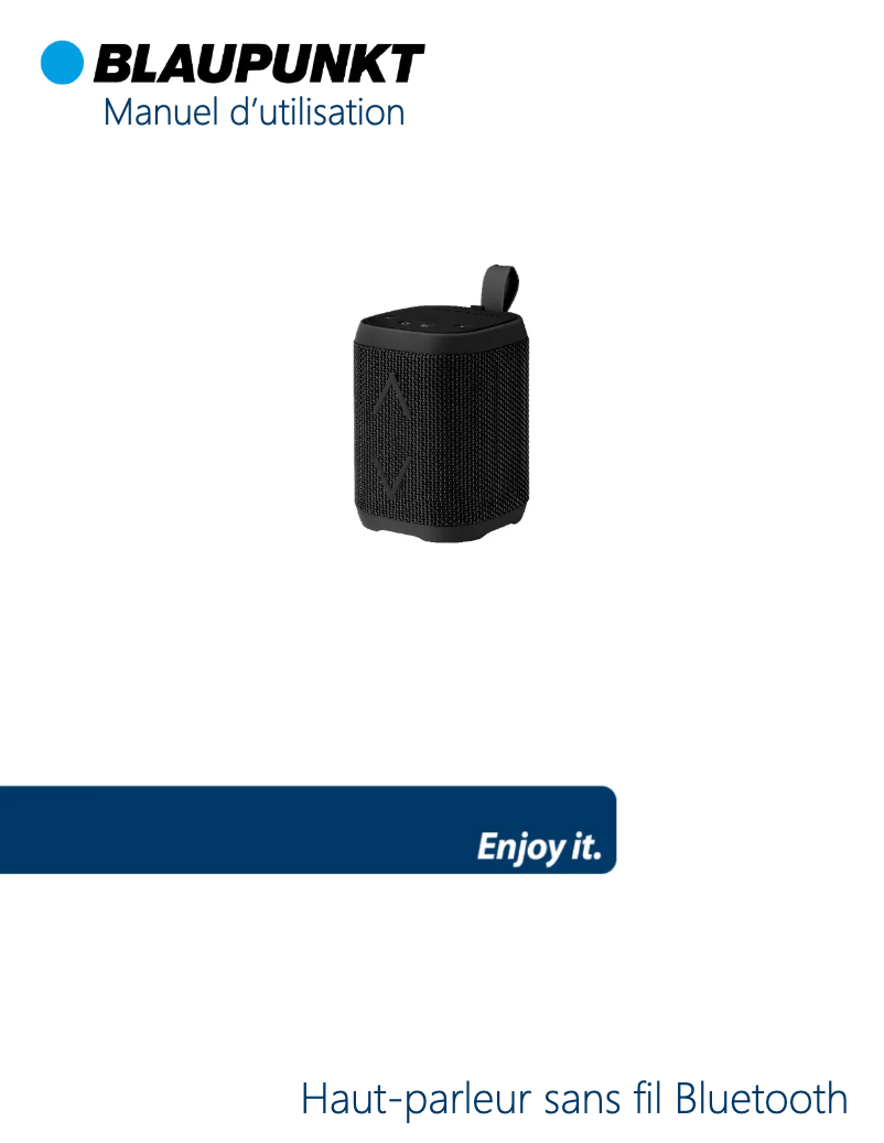 Page n°1 - Manuel utilisateur Blaupunkt BLP3795