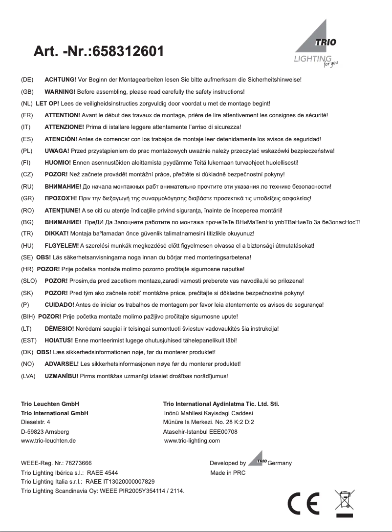 Page 1 de la notice Manuel utilisateur Trio Lighting Converter 658312601
