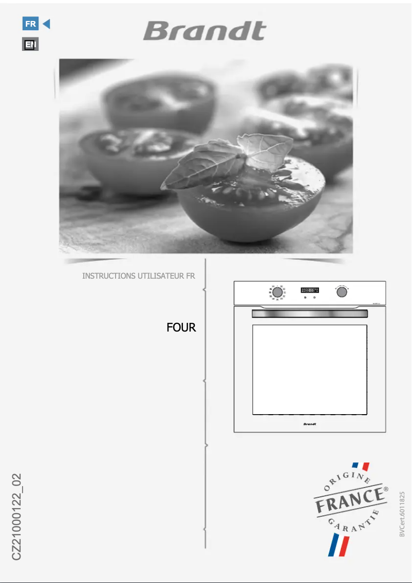 Image de la première page du manuel de l'appareil BOC3112B