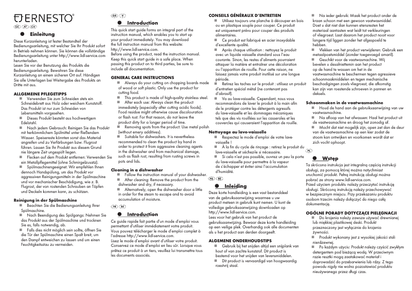 Page n°1 - Manuel utilisateur Ernesto HG00267