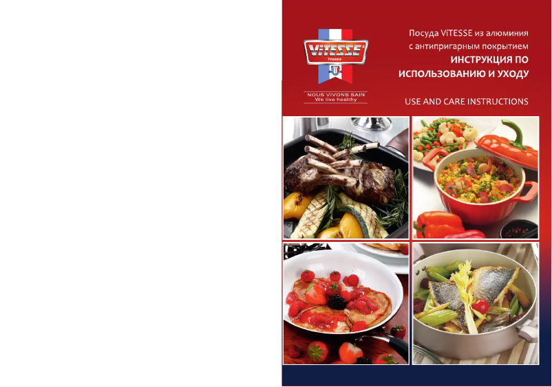 Page 1 de la notice Manuel utilisateur ViTESSE VS-2273