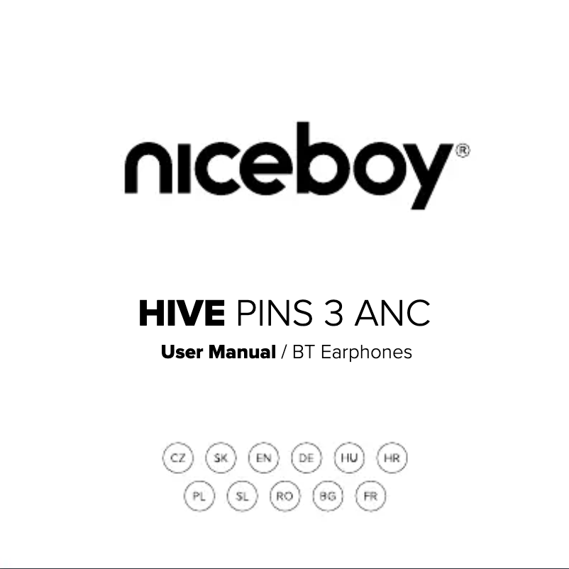 Page 1 de la notice Manuel utilisateur Niceboy HIVE Pins 3
