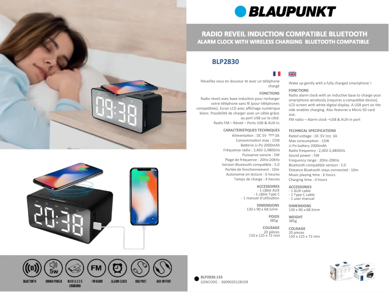 Page 1 de la notice Fiche technique Blaupunkt BLP2830