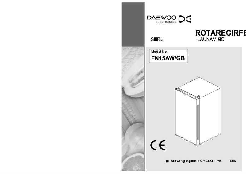 Page 1 de la notice Manuel utilisateur Daewoo FN15GB