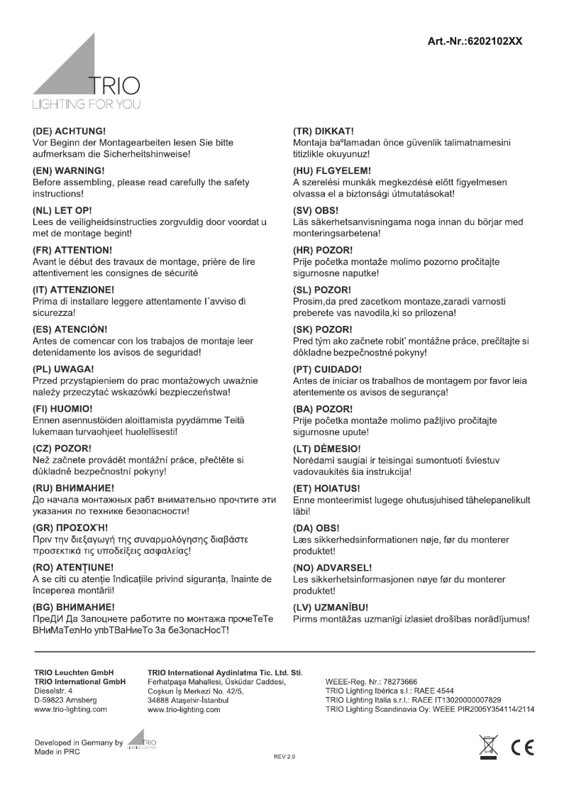 Page 1 de la notice Manuel utilisateur Trio Lighting Dragon 620210206