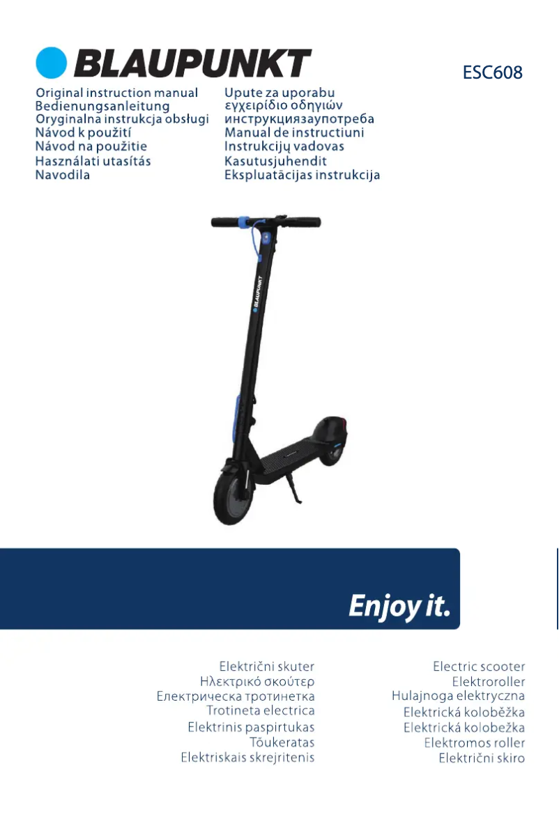 Page 1 de la notice Manuel utilisateur Blaupunkt ESC608