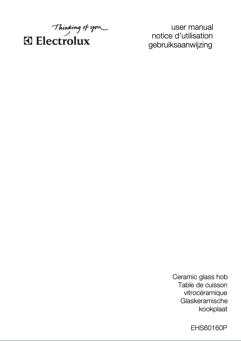 Page n°1 - Manuel utilisateur Electrolux EHS60160P