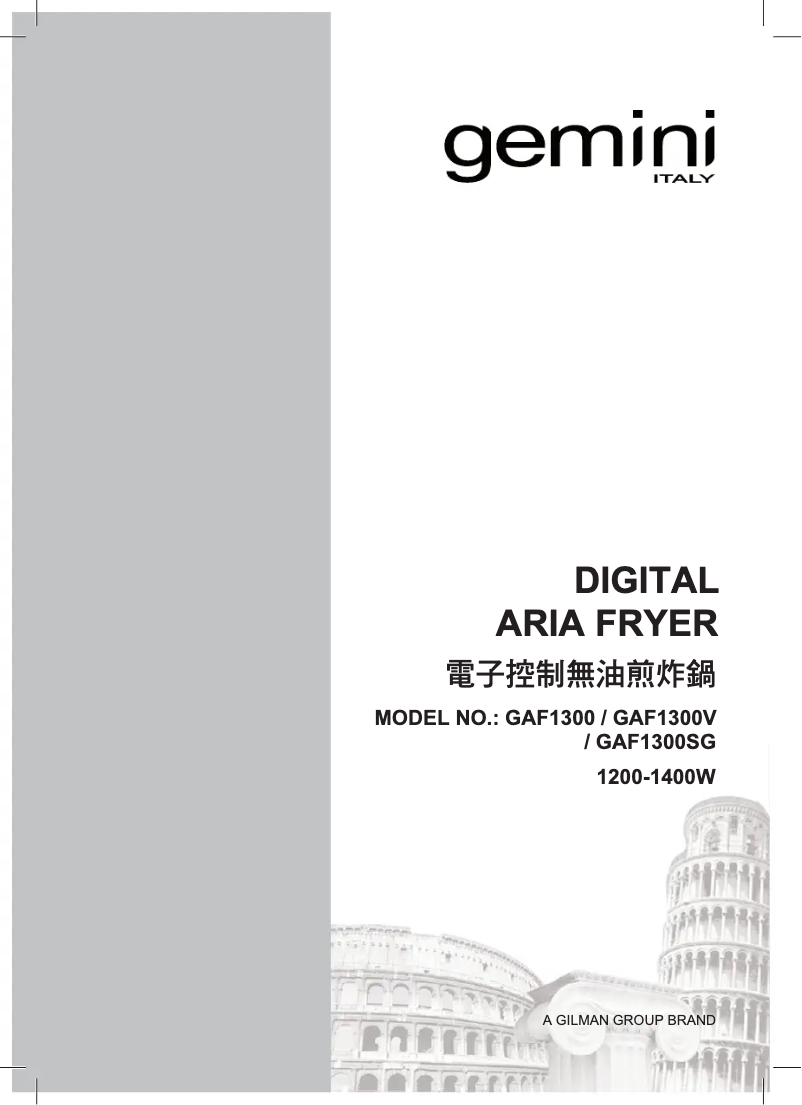 Page 1 de la notice Manuel utilisateur Gemini GAF1300SG