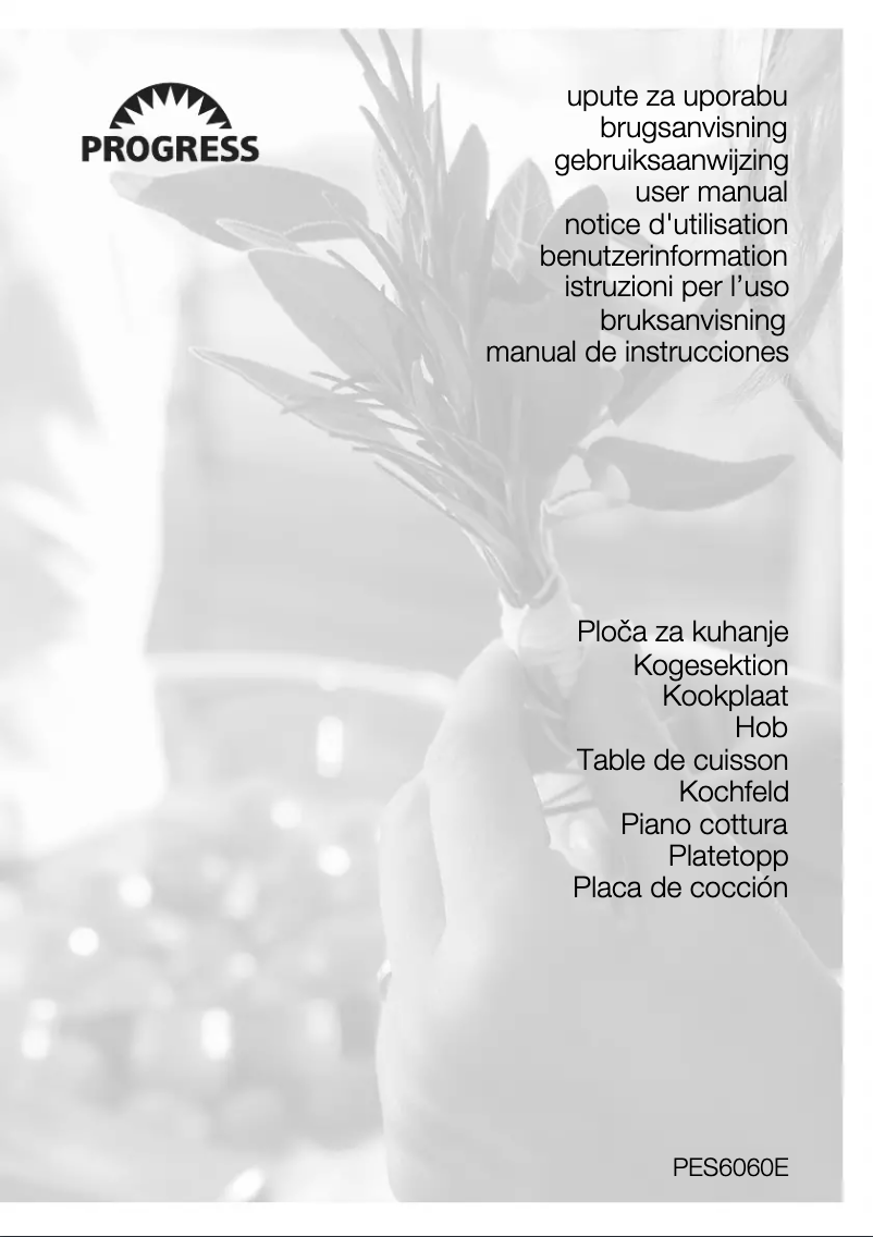 Page 1 de la notice Manuel utilisateur Progress PES6060E