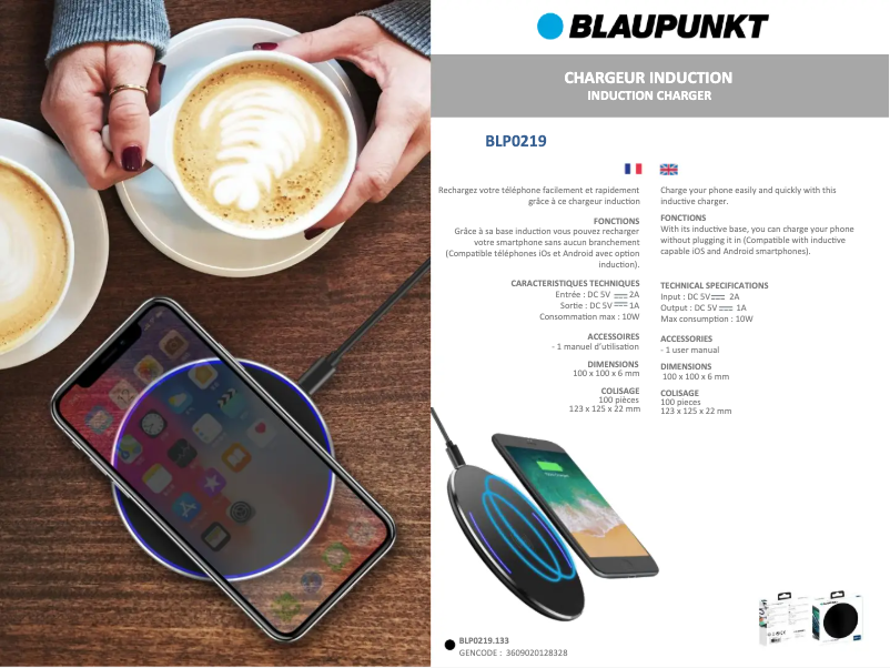 Page 1 de la notice Fiche technique Blaupunkt BLP0219