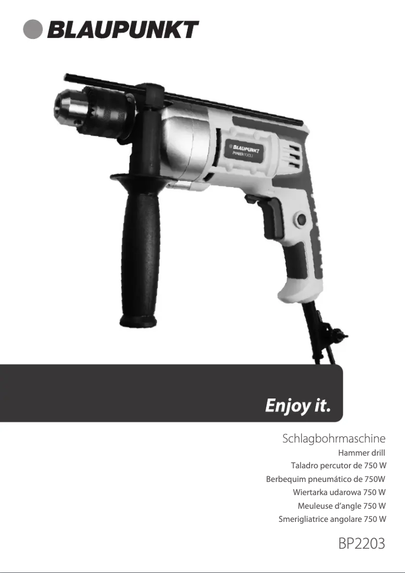 Page 1 de la notice Manuel utilisateur Blaupunkt BP2203