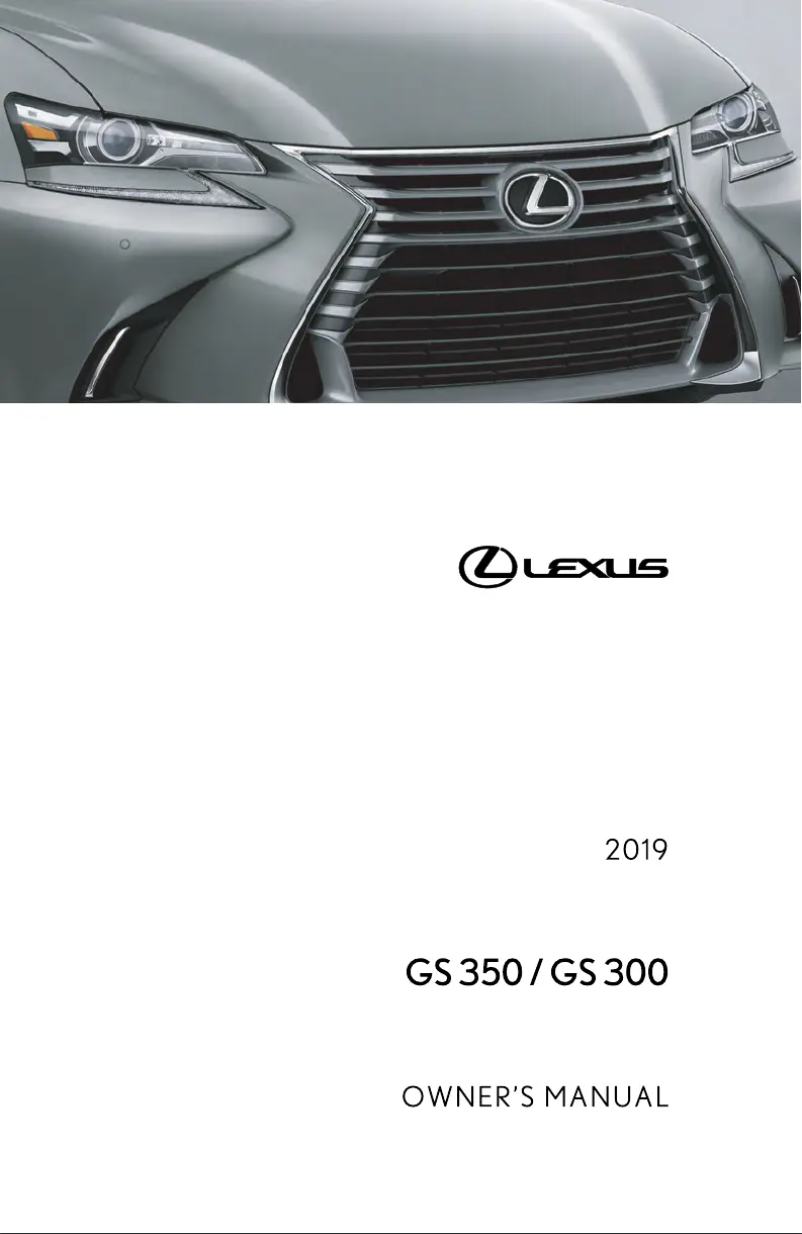 Image de la première page du manuel de l'appareil GS 350 (2019)