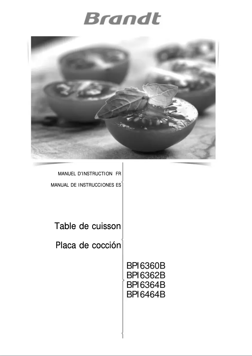 Page 1 de la notice Manuel utilisateur Brandt BPI3636B