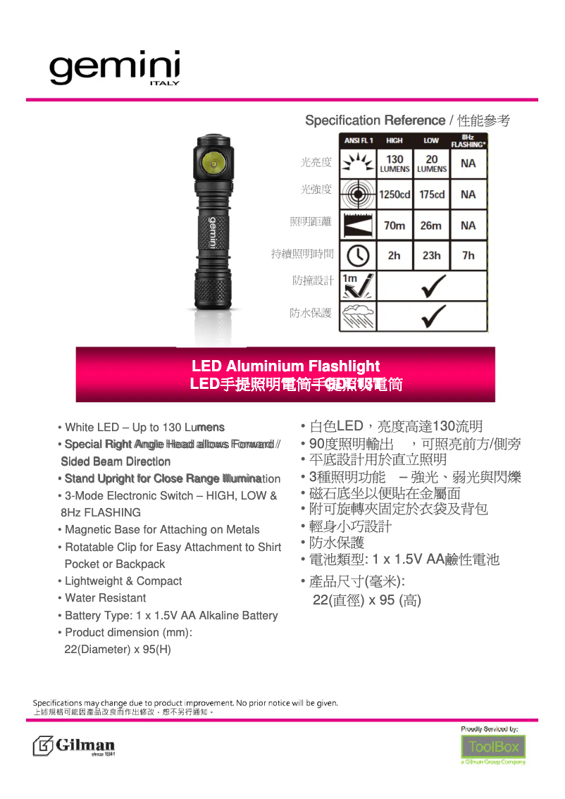 Image de la première page du manuel de l'appareil GDL13T