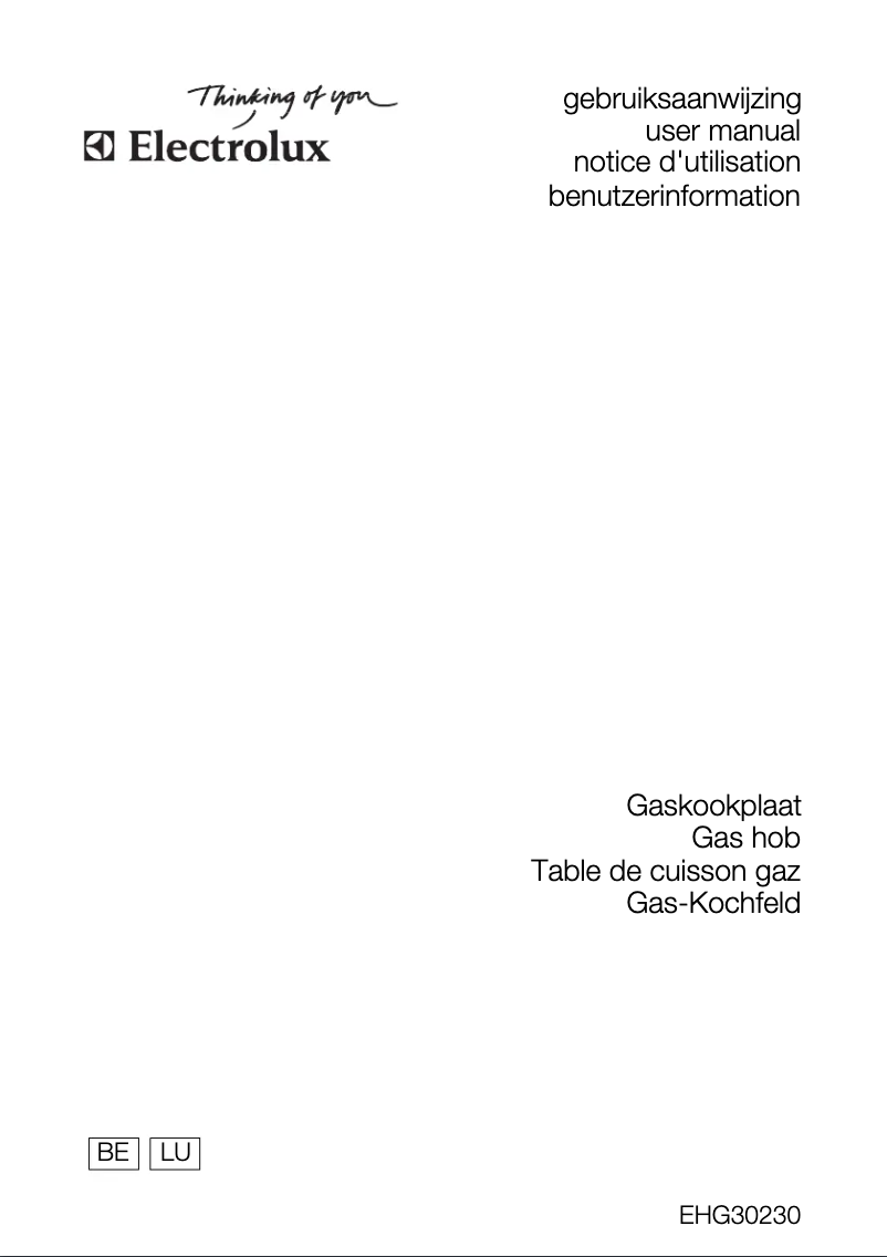 Page 1 de la notice Manuel utilisateur Electrolux EHG30230