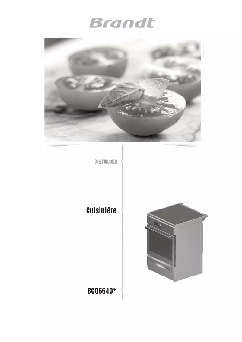 Page 1 de la notice Mode d'emploi Brandt BCG6640X