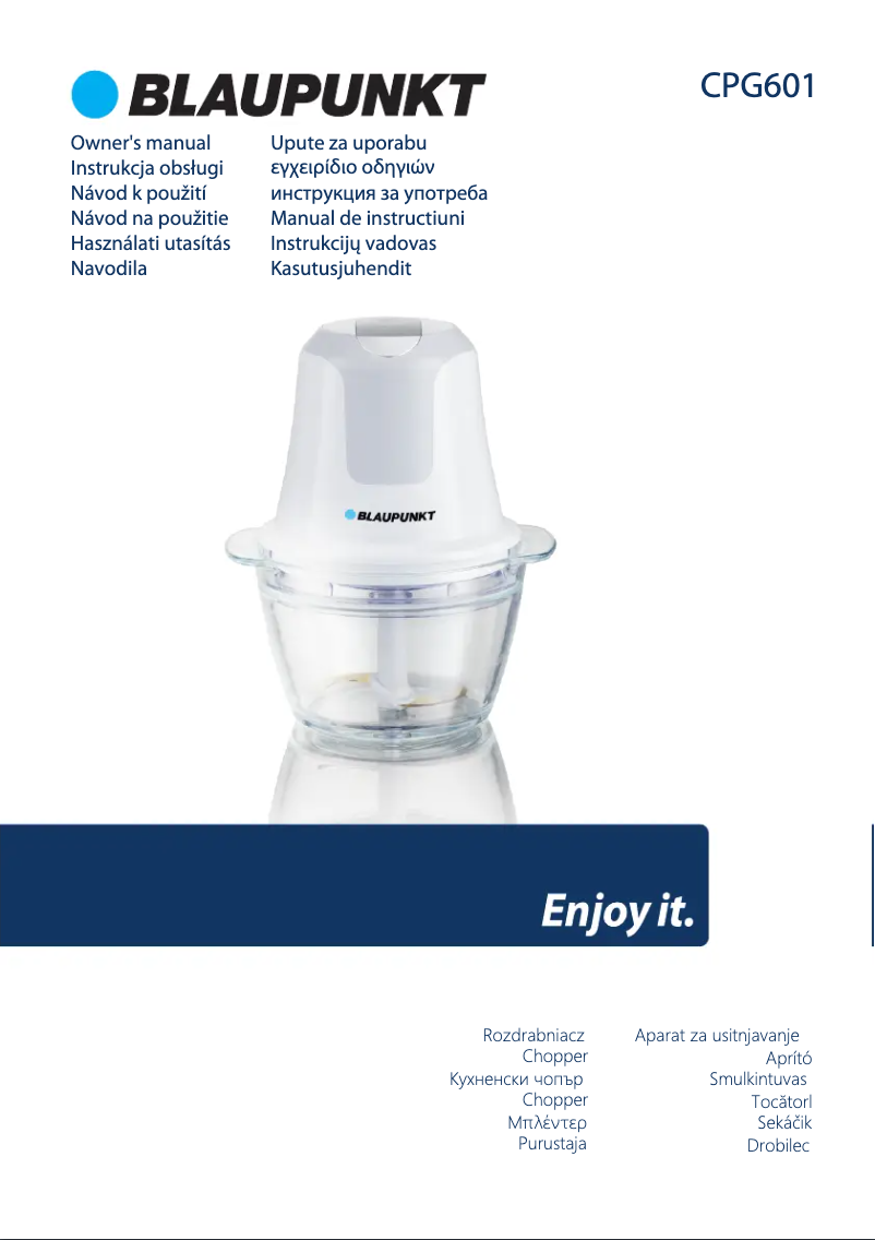 Page n°1 - Manuel utilisateur Blaupunkt CPG601