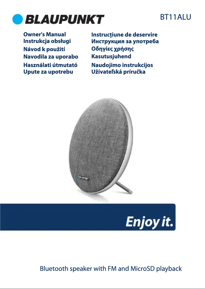 Page n°1 - Manuel utilisateur Blaupunkt BT11ALU