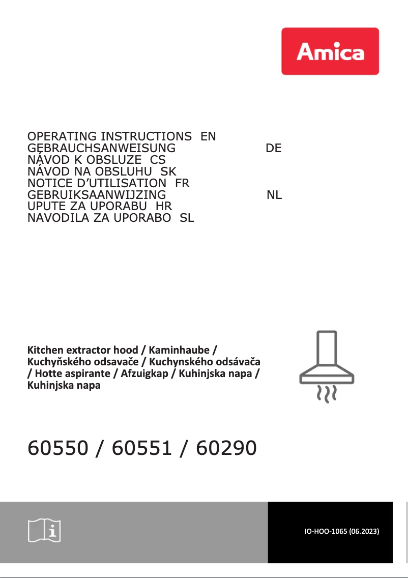 Page n°1 - Manuel utilisateur Amica 60290