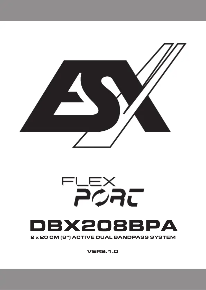 Page 1 de la notice Manuel utilisateur ESX DBX208BPA