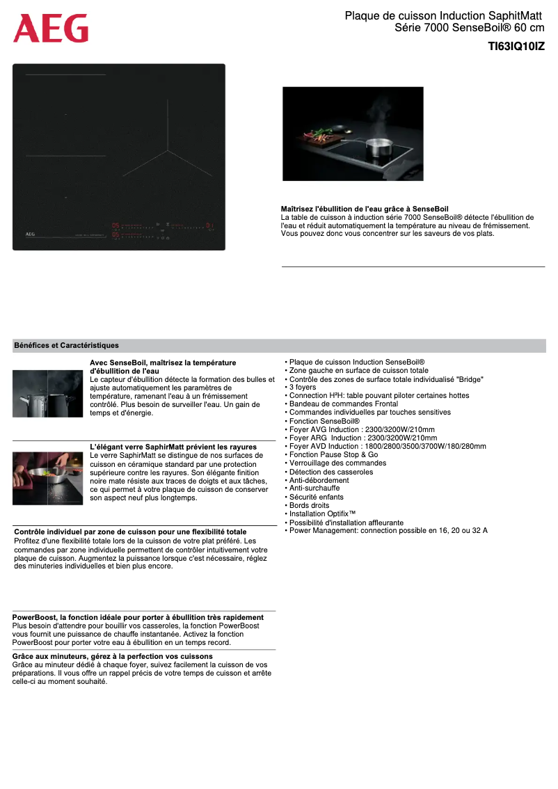 Page n°1 - Fiche technique AEG TI63IQ10IZ