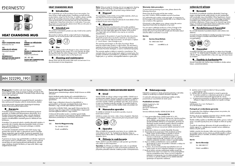 Page n°1 - Manuel utilisateur Ernesto IAN 322290