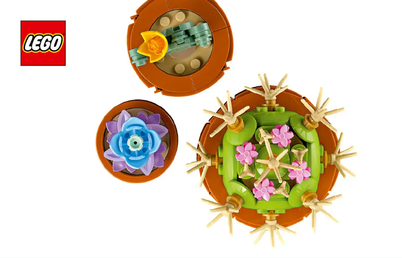 Image de la première page du manuel de l'appareil Icons 10329