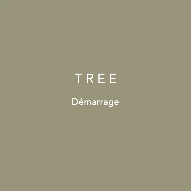 Page 1 de la notice Manuel utilisateur Devialet Tree