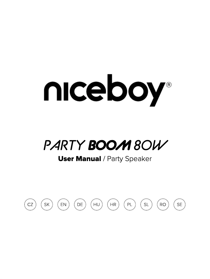 Page 1 de la notice Manuel utilisateur Niceboy PARTY Boom 80W